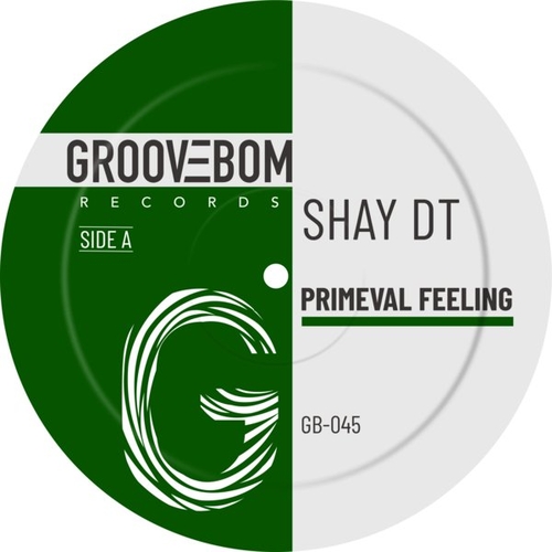 Shay DT - Primeval Feeling [GB045]